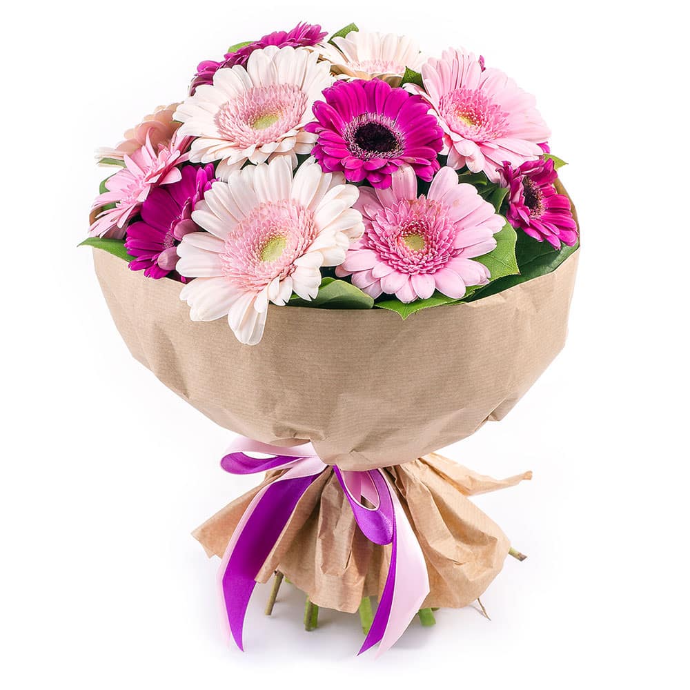 Цветы герберы купить в самаре цветы доставка по москве 24